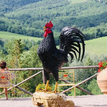 Agriturismo Borgo Il Bonagino Radda in Chianti Eksteriør bilde