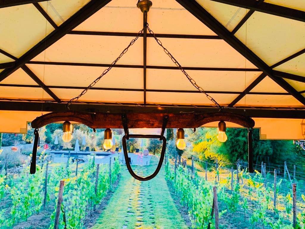 Agriturismo Borgo Il Bonagino Radda in Chianti Eksteriør bilde